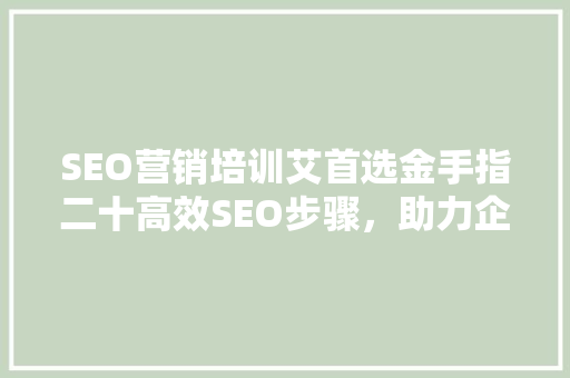 SEO营销培训艾首选金手指二十高效SEO步骤，助力企业网站优化