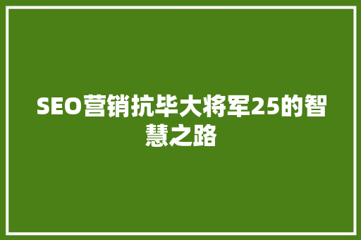 SEO营销抗毕大将军25的智慧之路