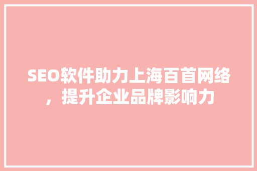 SEO软件助力上海百首网络，提升企业品牌影响力