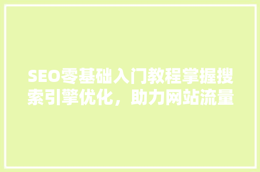 SEO零基础入门教程掌握搜索引擎优化，助力网站流量提升
