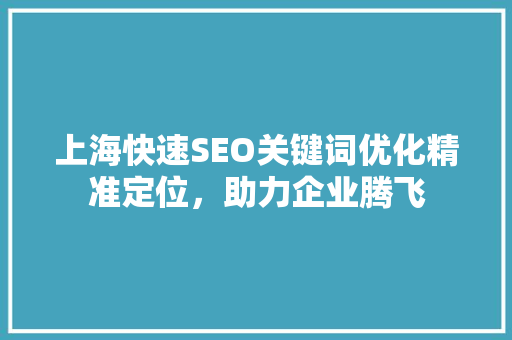 上海快速SEO关键词优化精准定位，助力企业腾飞