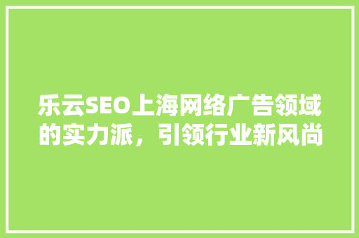 乐云SEO上海网络广告领域的实力派，引领行业新风尚