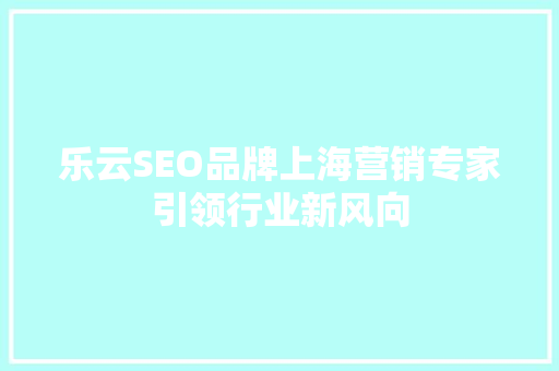 乐云SEO品牌上海营销专家引领行业新风向