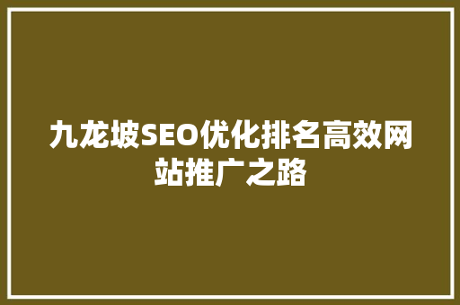 九龙坡SEO优化排名高效网站推广之路