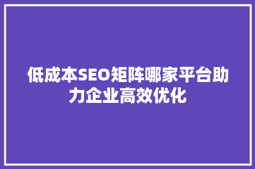 低成本SEO矩阵哪家平台助力企业高效优化