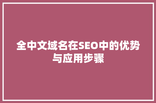 全中文域名在SEO中的优势与应用步骤