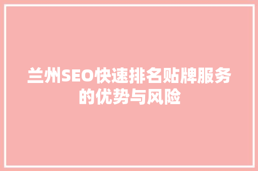 兰州SEO快速排名贴牌服务的优势与风险