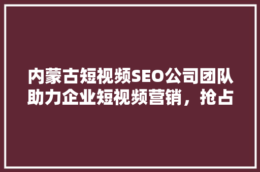 内蒙古短视频SEO公司团队助力企业短视频营销，抢占流量高地