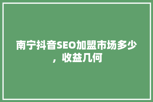 南宁抖音SEO加盟市场多少，收益几何