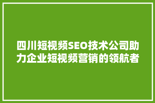 四川短视频SEO技术公司助力企业短视频营销的领航者