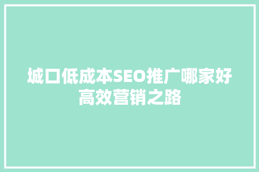 城口低成本SEO推广哪家好高效营销之路