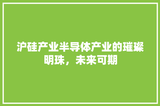沪硅产业半导体产业的璀璨明珠，未来可期