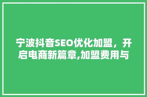 宁波抖音SEO优化加盟，开启电商新篇章,加盟费用与市场前景