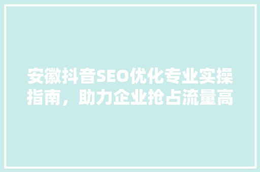 安徽抖音SEO优化专业实操指南，助力企业抢占流量高地