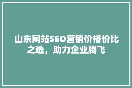 山东网站SEO营销价格价比之选，助力企业腾飞