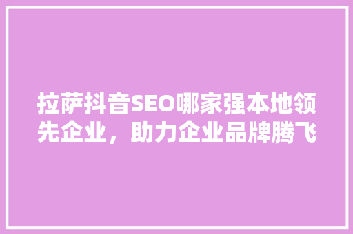 拉萨抖音SEO哪家强本地领先企业，助力企业品牌腾飞