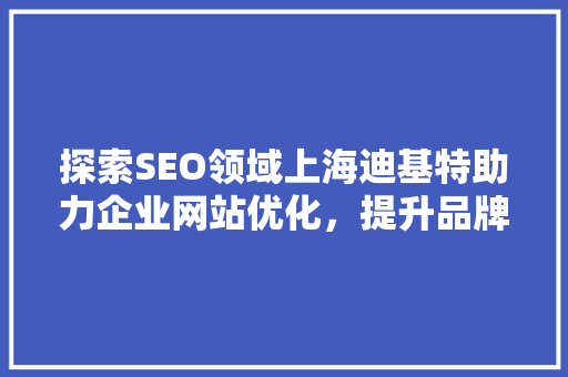探索SEO领域上海迪基特助力企业网站优化，提升品牌影响力