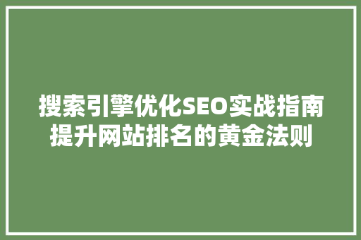 搜索引擎优化SEO实战指南提升网站排名的黄金法则