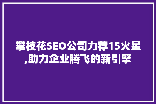 攀枝花SEO公司力荐15火星,助力企业腾飞的新引擎