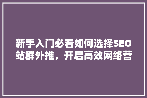 新手入门必看如何选择SEO站群外推，开启高效网络营销之旅