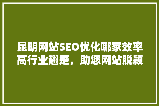昆明网站SEO优化哪家效率高行业翘楚，助您网站脱颖而出