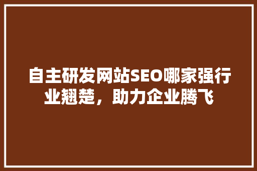 自主研发网站SEO哪家强行业翘楚，助力企业腾飞