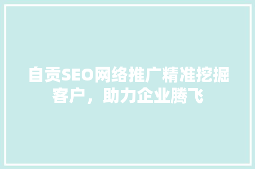 自贡SEO网络推广精准挖掘客户，助力企业腾飞