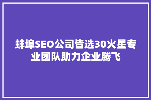 蚌埠SEO公司皆选30火星专业团队助力企业腾飞