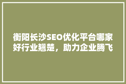 衡阳长沙SEO优化平台哪家好行业翘楚，助力企业腾飞