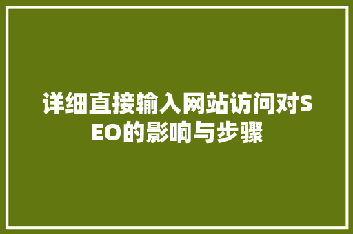 详细直接输入网站访问对SEO的影响与步骤