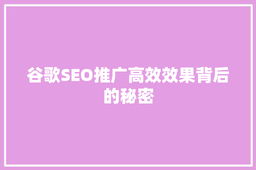 谷歌SEO推广高效效果背后的秘密