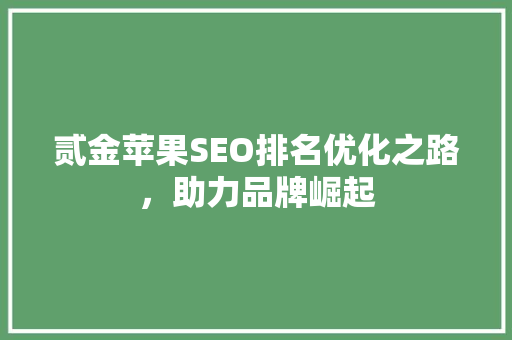 贰金苹果SEO排名优化之路，助力品牌崛起