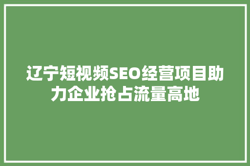 辽宁短视频SEO经营项目助力企业抢占流量高地