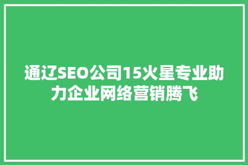 通辽SEO公司15火星专业助力企业网络营销腾飞