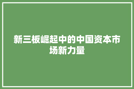 新三板崛起中的中国资本市场新力量