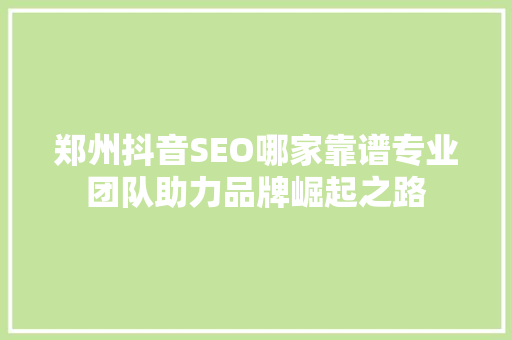 郑州抖音SEO哪家靠谱专业团队助力品牌崛起之路