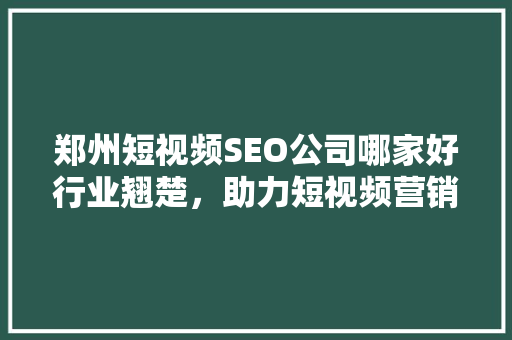 郑州短视频SEO公司哪家好行业翘楚，助力短视频营销腾飞