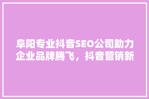 阜阳专业抖音SEO公司助力企业品牌腾飞，抖音营销新步骤