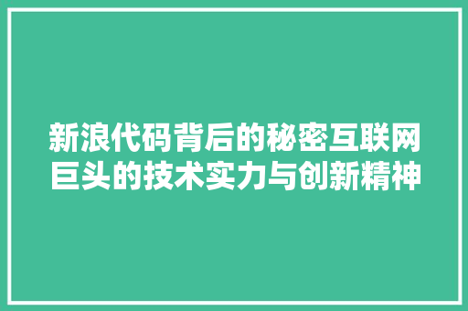 新浪代码背后的秘密互联网巨头的技术实力与创新精神