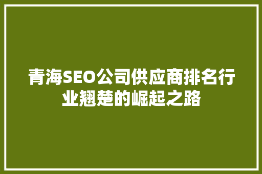 青海SEO公司供应商排名行业翘楚的崛起之路