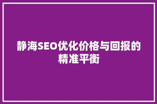 静海SEO优化价格与回报的精准平衡