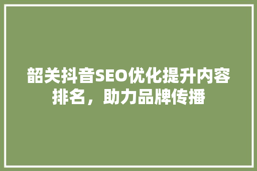 韶关抖音SEO优化提升内容排名，助力品牌传播  第1张