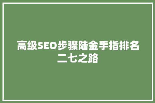 高级SEO步骤陆金手指排名二七之路