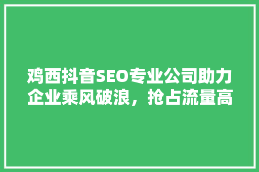 鸡西抖音SEO专业公司助力企业乘风破浪，抢占流量高地