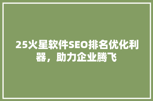 25火星软件SEO排名优化利器，助力企业腾飞