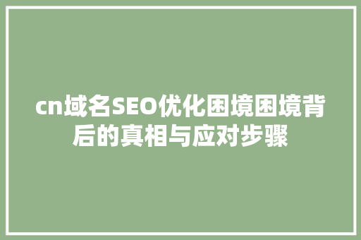 cn域名SEO优化困境困境背后的真相与应对步骤