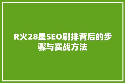 R火28星SEO刷排背后的步骤与实战方法  第1张