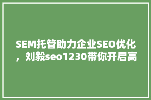 SEM托管助力企业SEO优化，刘毅seo1230带你开启高效流量之门  第1张