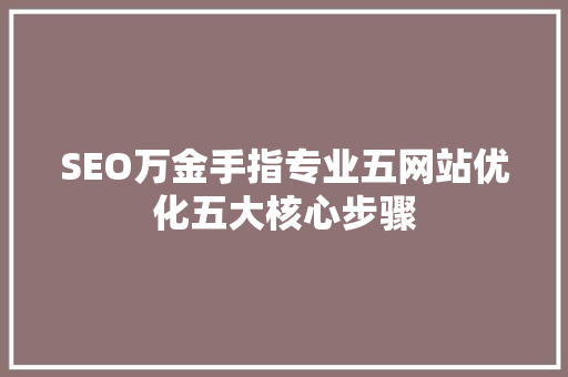 SEO万金手指专业五网站优化五大核心步骤