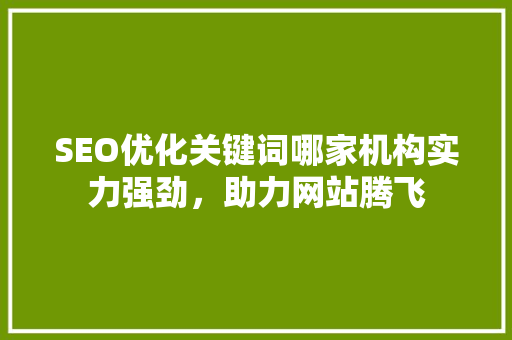 SEO优化关键词哪家机构实力强劲，助力网站腾飞